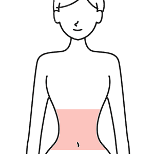 腹部の範囲